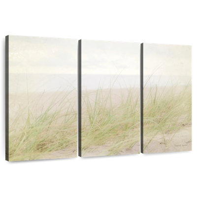 Gillard Beach Grass III