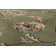 Tapis vert / ivoire Attell