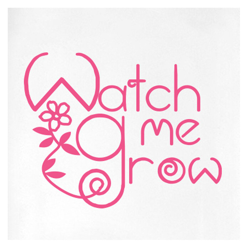 Wall Decal, Pink