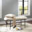 Luxurious Velvet Bench with Metal Base Frame – Upholstered Bench  for Bedroom Décor, Living Room Décor, and Dining Room Seating – Style and Comfort Multi-Purpose Accent Furniture – 47.5", Ivory
