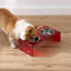 Mangeoire pour animaux Keaton-116863708-99366361