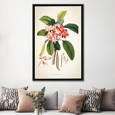 «Plumeria Botanical Print», impression sur toile