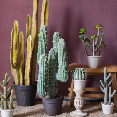 Faux cactus 25,6 po