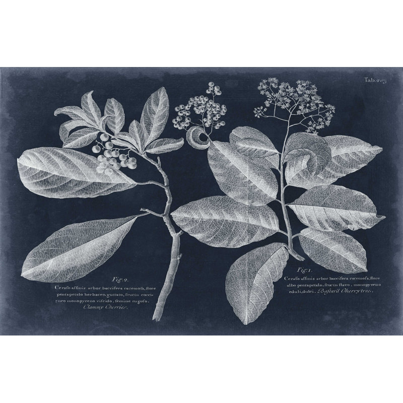 " Foliage On Navy IV " by Vision Studio, 32" H x 48" W