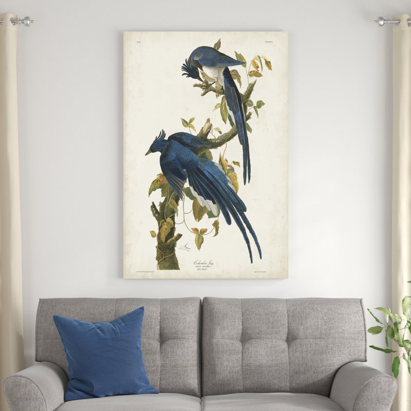 " Pl 96 Columbia Jay " by James Audubon Painting Print, 48" H x 32" W