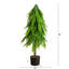 4Ft. Artificial Real Touch Down Swept Norfolk Pine Tree With Natural Look-17036511
