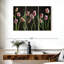 Tulipes Harnek Spring-107984468