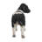 Black and White Standing Cow Statue