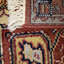 Nemi Oriental Area Rug in Red