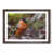 Walnut Framed selected