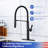 Rainlex Pull Out Kitchen Faucet-64540359