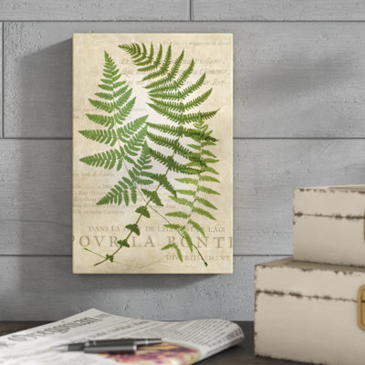 "Fougère fougère I" par Vision Studio, reproduction d'art sur toile