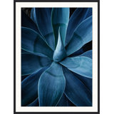 Bold Agave 3 Print by Christopher Kennedy
