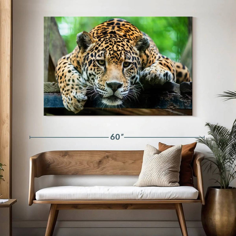 Crowle Lazy Leopard, H 34 po x l 51 po