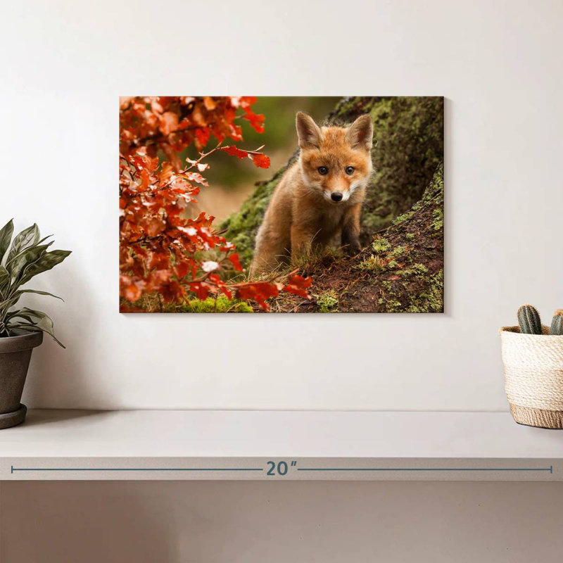 Brampt Fox Pup, 8" H x 12" W