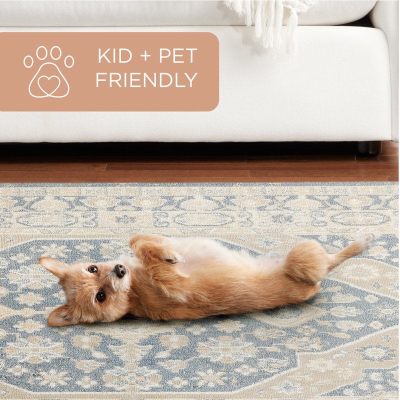 Brown and Grey Medallion Washable Polyester Area Rug