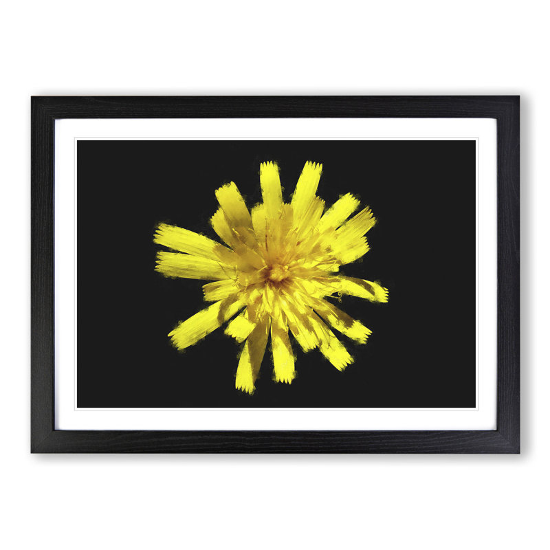 Yellow Flower - Picture Frame Graphic Art, 27cm H x 36cm W x 2cm D, Black Framed