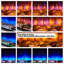 Rosedale 3D Media Wall Electric Fire, Multi-Colour Flame, Logs & Crystals, Remote, 1-2kW-87639601