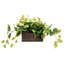 27.9cm Faux Fir Plant