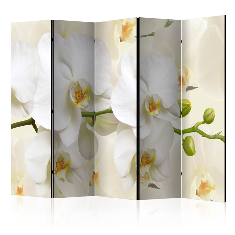 Hamack 225cm W x 172cm H 5 - Panel Solid Wood Folding Room Divider