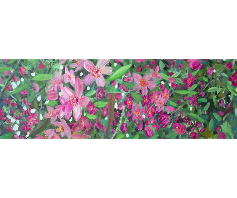 Cherry Tree Blooming Print On Canvas