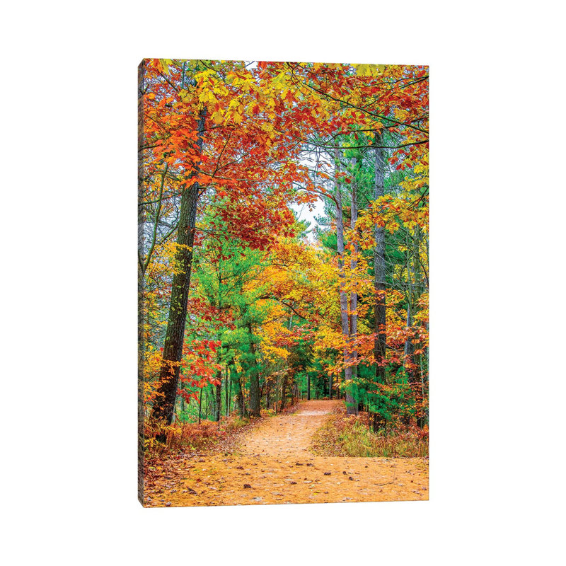 Road to Forest 1 Piece Wall Art on Canvas, 20.32 cm H x 30.48 cm W, Wrapped Canvas