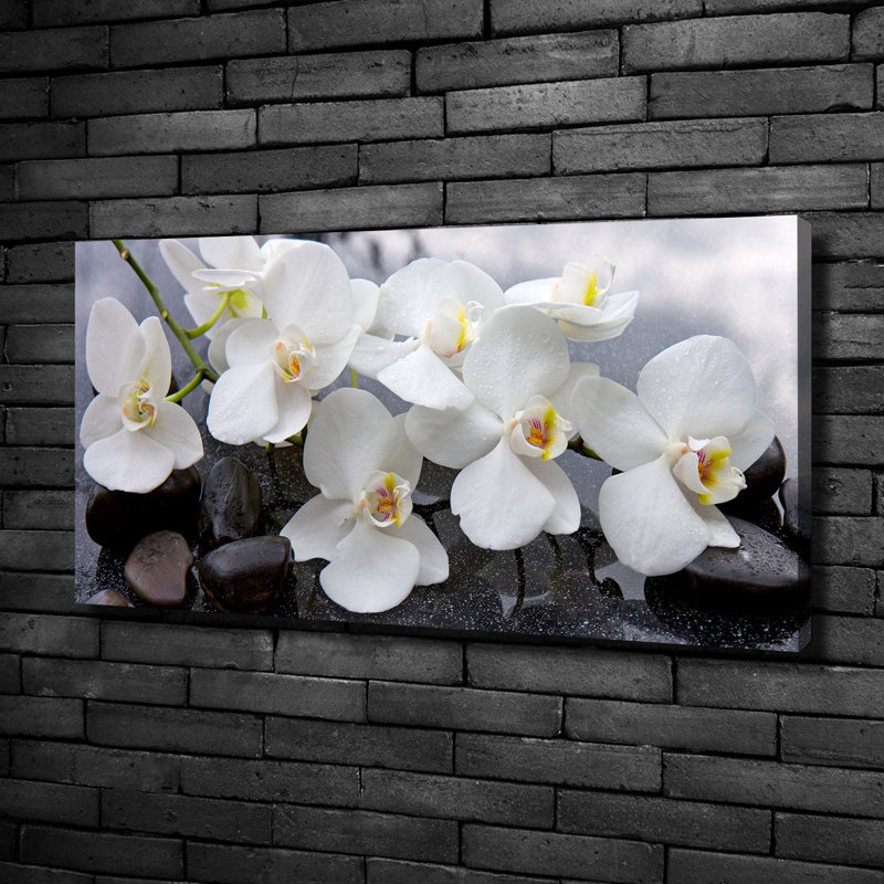 Orchid - Wrapped Canvas Print