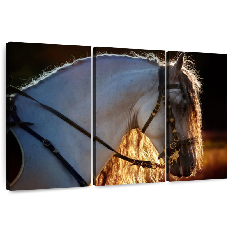 Brampt Andalusian Stallion, 48" H x 74" W