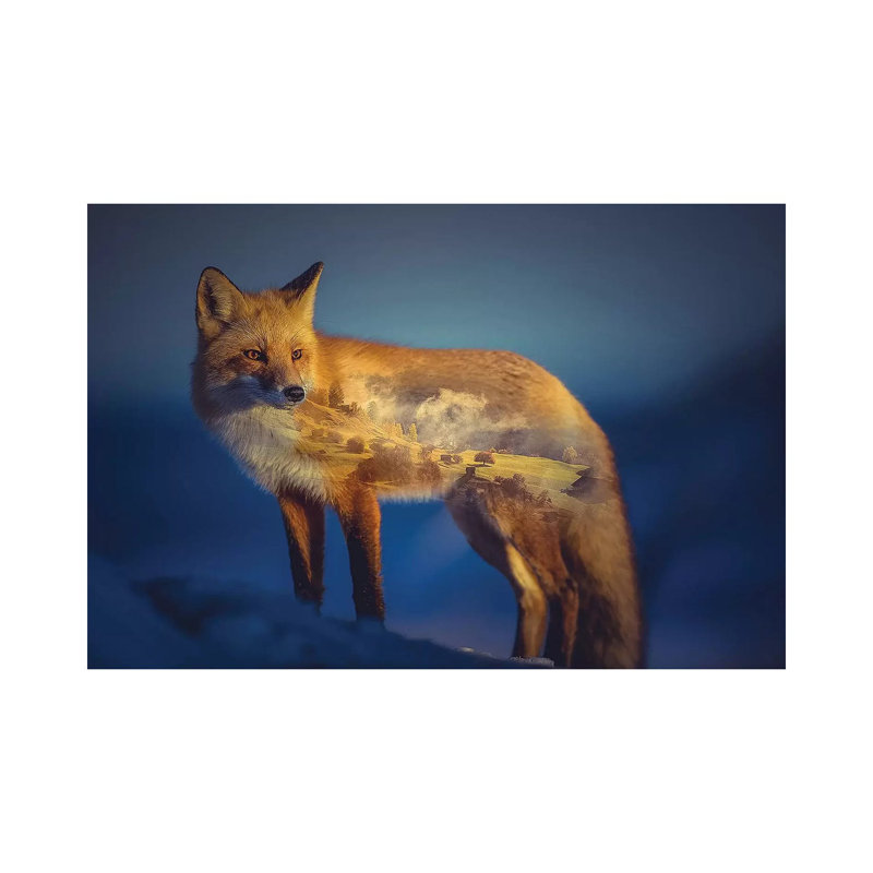 Foxscape by Paul Haag - Print on Canvas, Wrapped Canvas, 20.32 cm H x 30.48 cm W