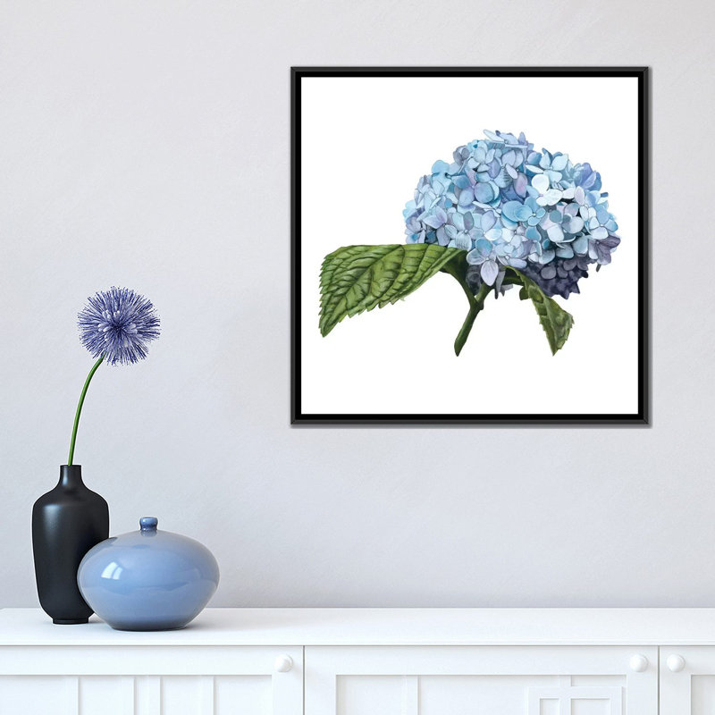 «Brighton Blooms I», impression sur toile, H 18 po x l 18 po x P 1,5 po, Toile avec cadre noir, Pas de tapis