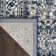 Pinkney Oriental Indoor Rug