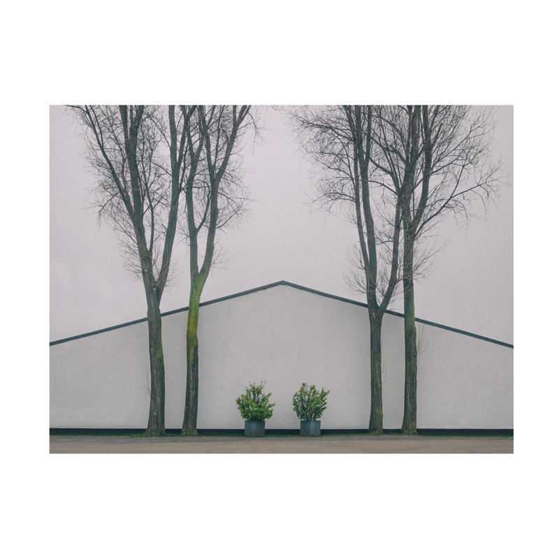 Art sur toile jumeau bolologique, Klaus Lenzen, H 14 po x l 19 po
