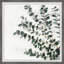 House Plant - Single Picture Frame Painting-2065404459