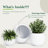 Signature Genest 1-Piece Fiberstone Planter For Indoor/Outdoor-365544817-365544822