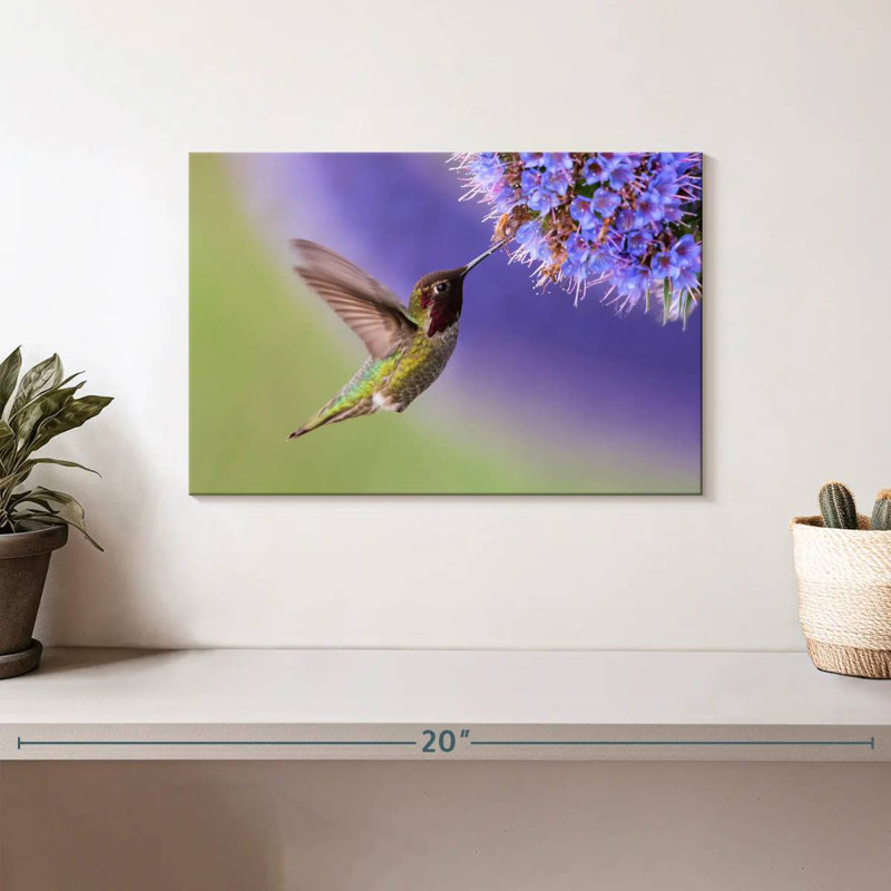 Brampt Nectar Sipping Hummingbird, 8" H x 12" W