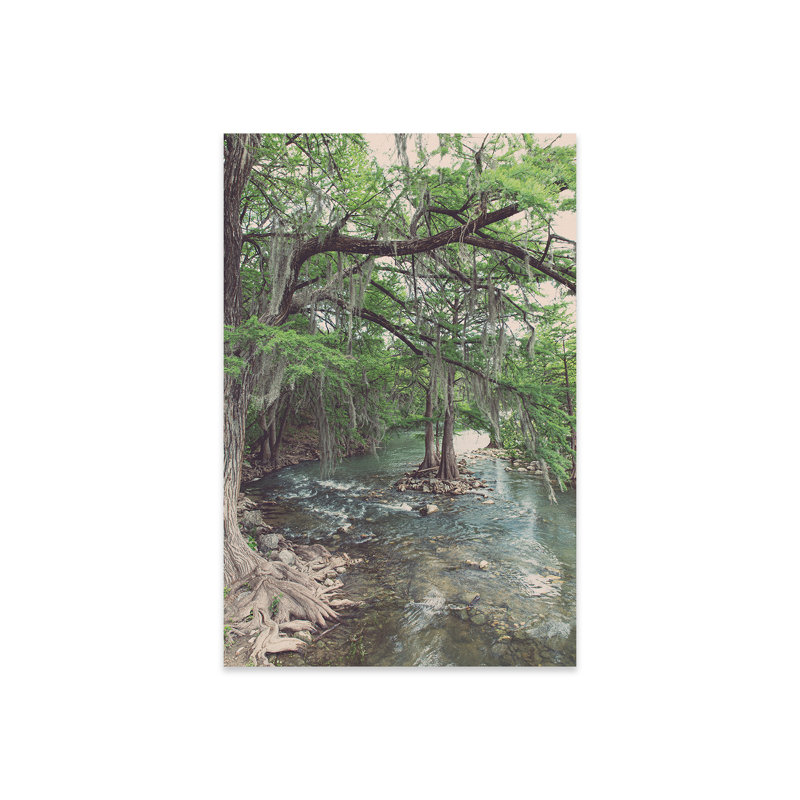 Armin Texas Hill Country Comal River Photography by Ann Hudec - Unframed Print