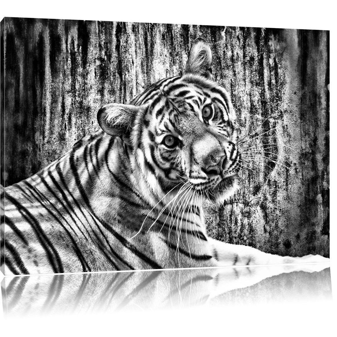 Leinwandbild Neugieriger Tiger in Monochrom