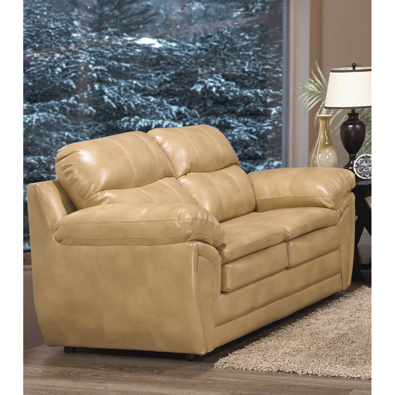 Causeuse avec accoudoirs coussinés en cuir véritable 64 po Adéline