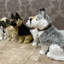 Connlyn Animals Figurines & Sculptures