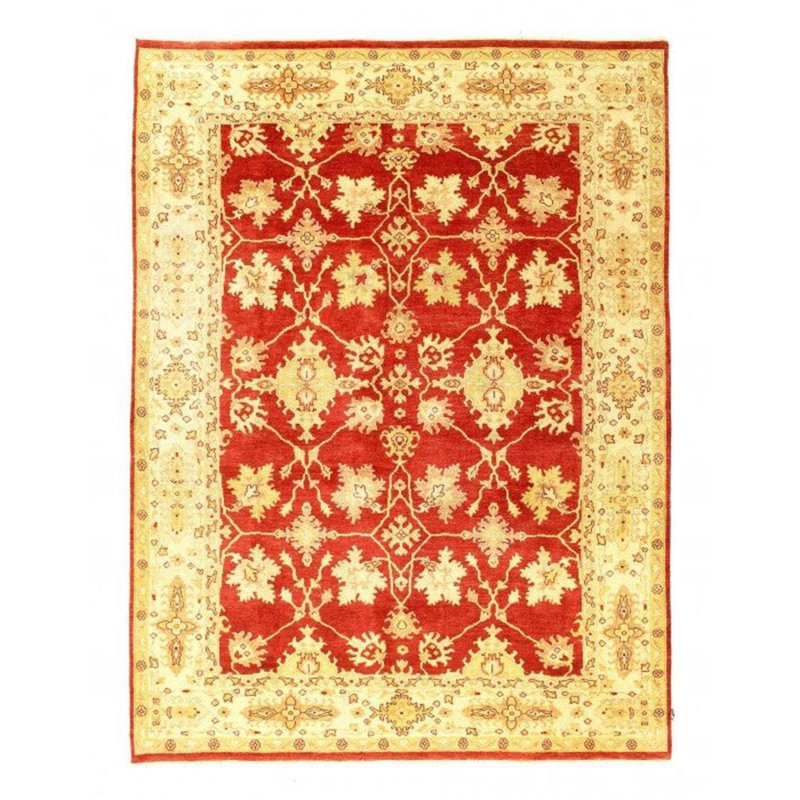 Oriental Area Rug