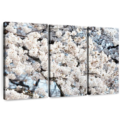 Harnek Sakura Cherry Blossoms II