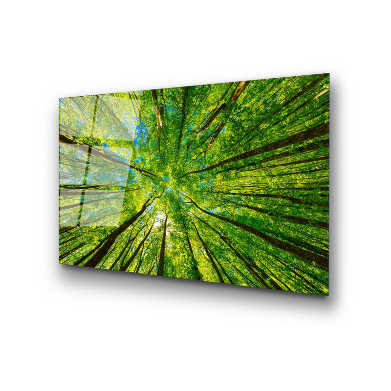 Boze Print on Glass