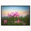 «Blooming Lotus Flowers at Sunset», photographie-26669336-35125731