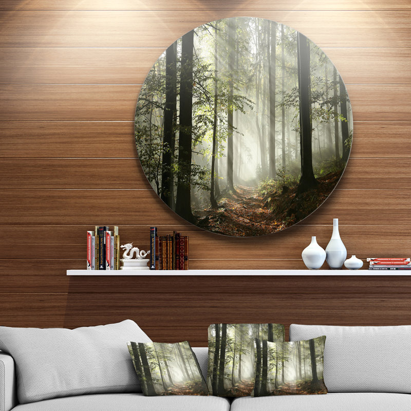 Lumière dans une forêt d'automne dense avec brouillard, œuvre d'art, H 8 po x l 12 po, Toile tendue, Sans cadre