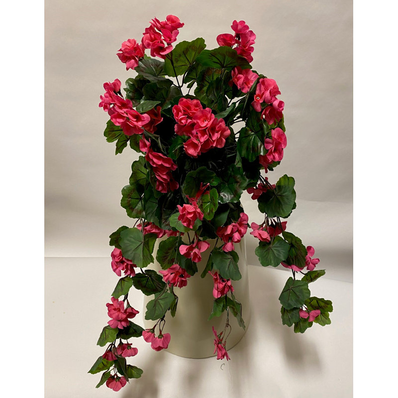 Arrangements floraux de géranium