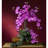 Orchid Arrangement