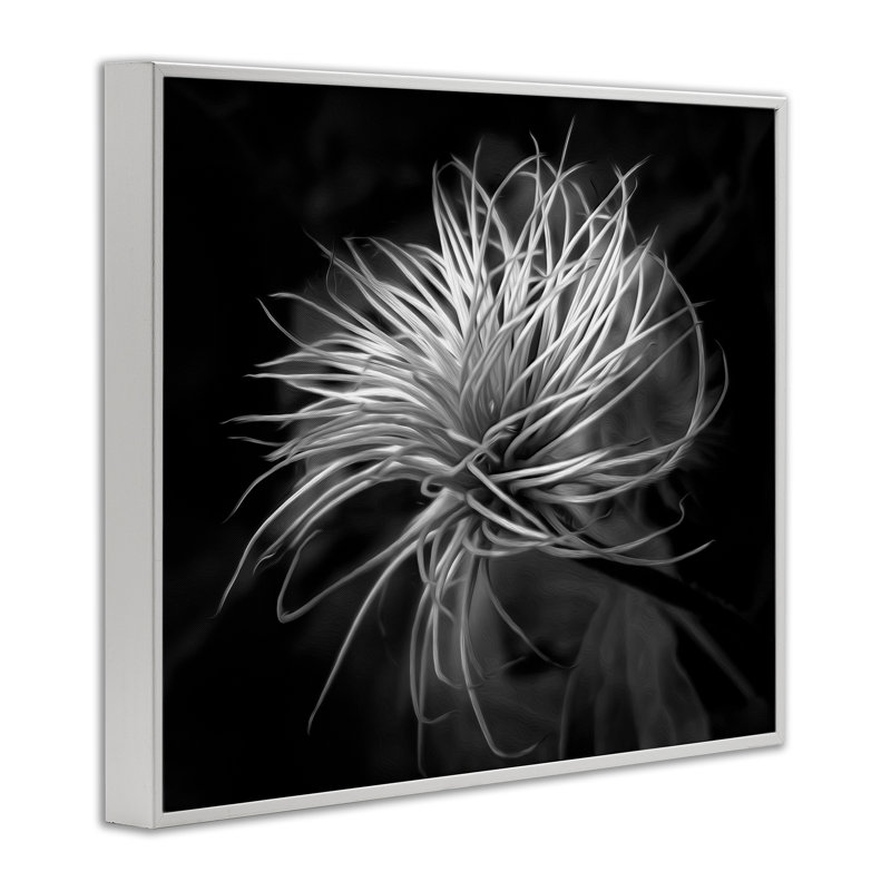 Feuilles torsadées botaniques contrastantes, dessin de Phillip Flowers, H 16 po x l 20 po