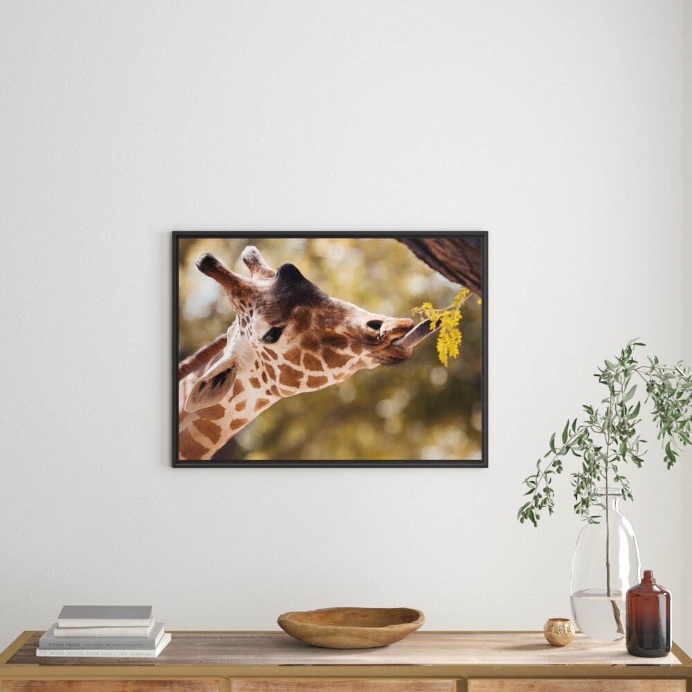 Gerahmtes Wandbild Giraffe Gesicht