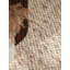 Lyon Wool Hand Woven Area Rug-126096535-126096537