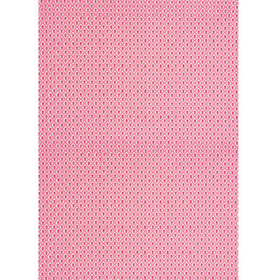 Schumacher x Molly Mahon Buti Fabric